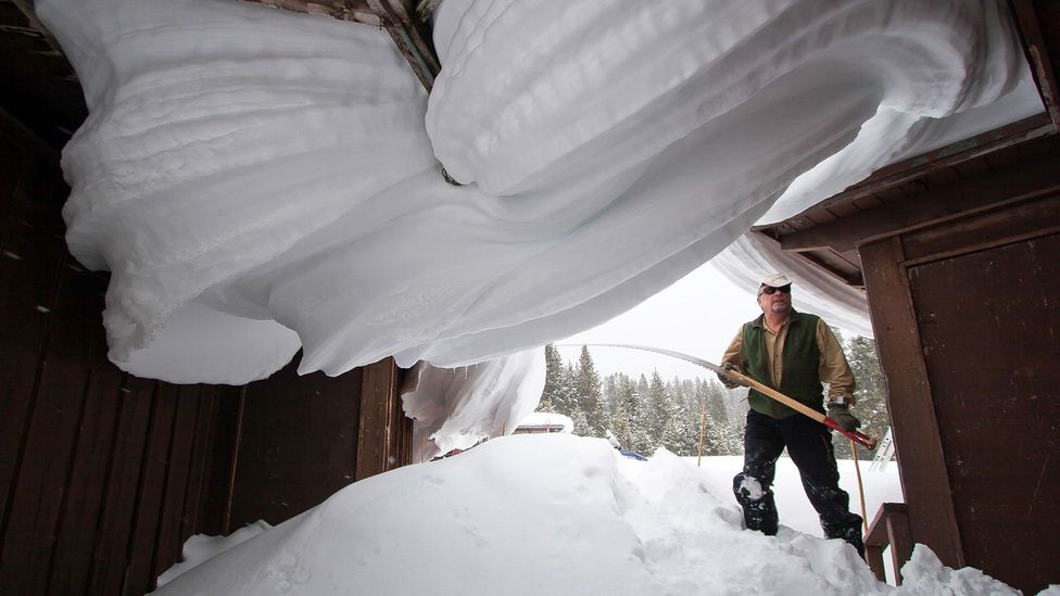 Steven Fuller looks after Yellowstone over the cold season (Credit: Steven Fuller)