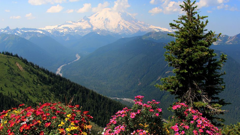 Mount Rainier is a magnet for mountaineers (Credit: Annika Hipple)