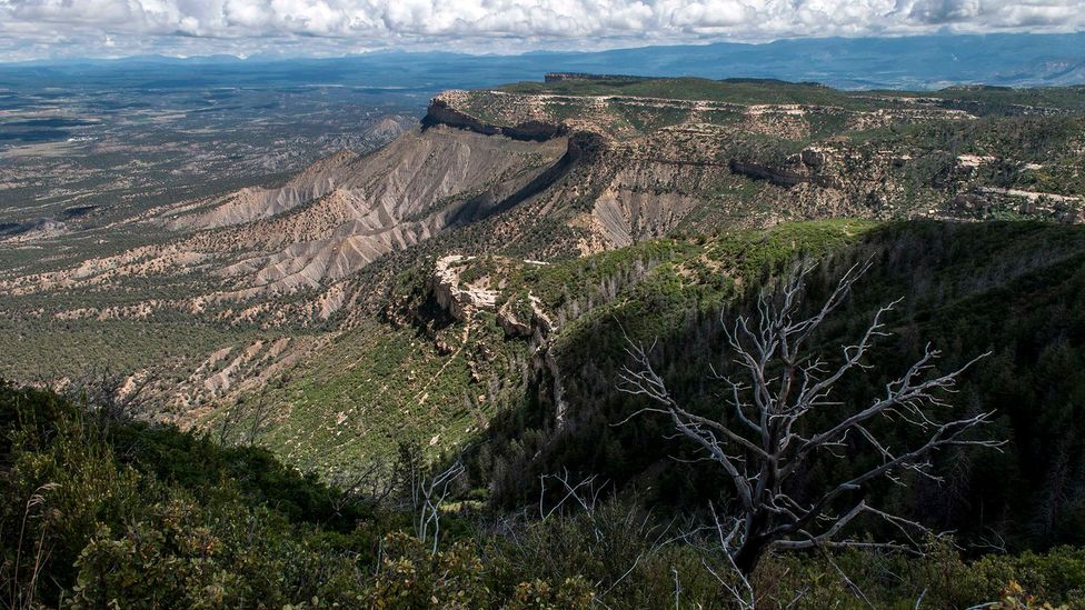Mesa Verde Covers about 52,000 acres of southwestern Colorado (Credit: Jim O'Donnell)