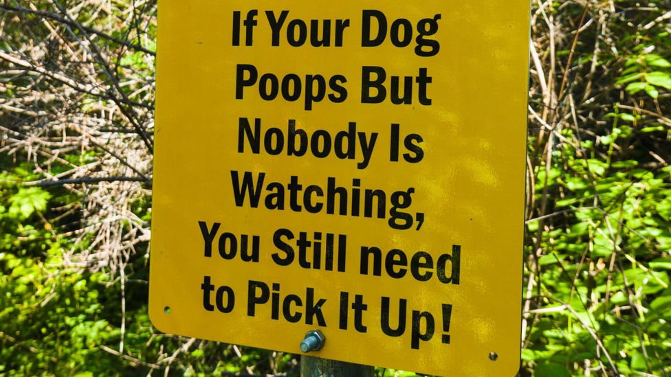 Are you a “poo-petrator”? (Credit: Alamy) Are you a “poo-petrator”? (Credit: Alamy)