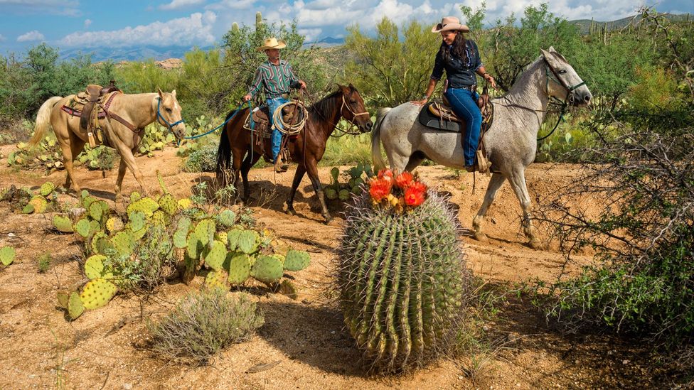 Where people become real-life cowboys - BBC Travel