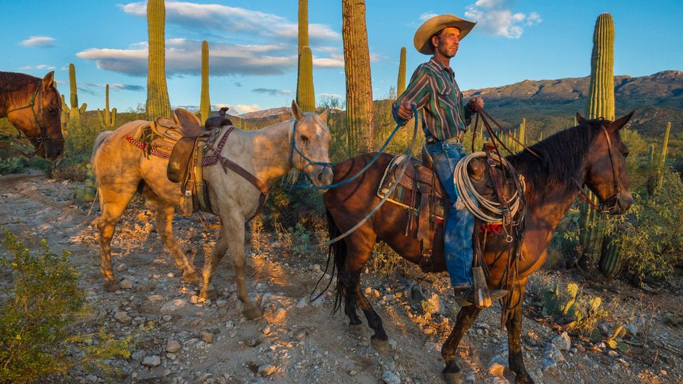 Where people become real-life cowboys - BBC Travel