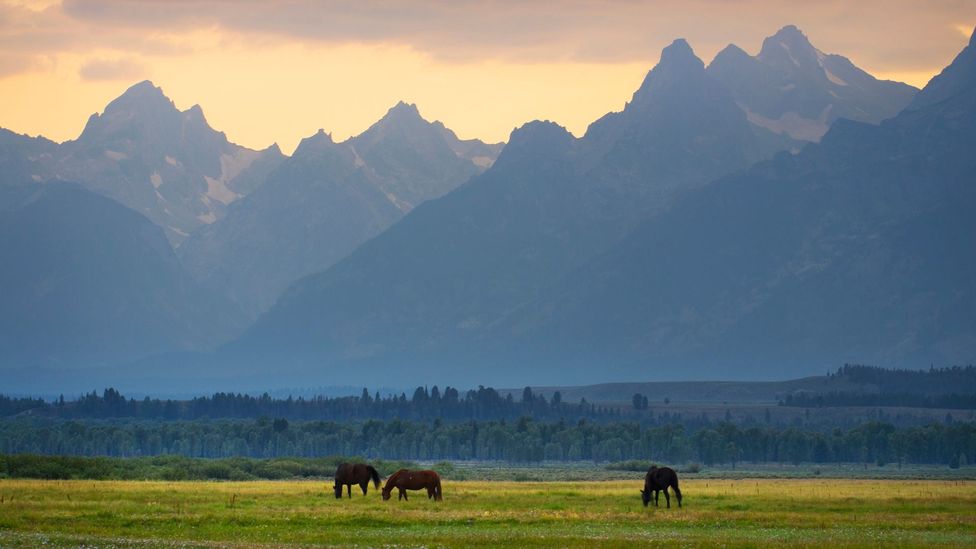 The Teton Range is a particularly beautiful sight within Grand Teton National Park (Credit: Alan Majchrowicz/Getty)