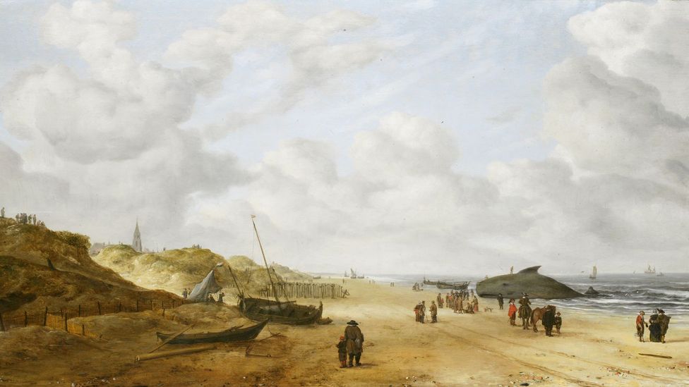 The Fitzwilliam Museum in Cambridge discovered a beached whale in Dutch marine artist Hendrick van Anthonissen’s View of Scheveningen Sands (Credit: The Fitzwilliam Museum) The Fitzwilliam Museum in Cambridge discovered a beached whale in Dutch marine artist Hendrick van Anthonissen’s View of Scheveningen Sands (Credit: The Fitzwilliam Museum)