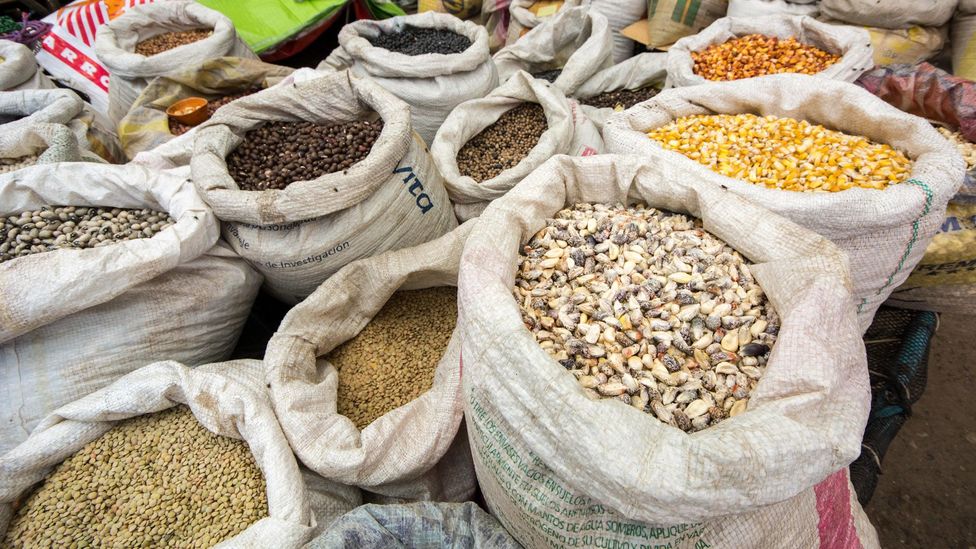 It's common in Venezuela to eat grains, like lentils, with sugar (Credit: Bernard Golden/Alamy) It's common in Venezuela to eat grains, like lentils, with sugar (Credit: Bernard Golden/Alamy)