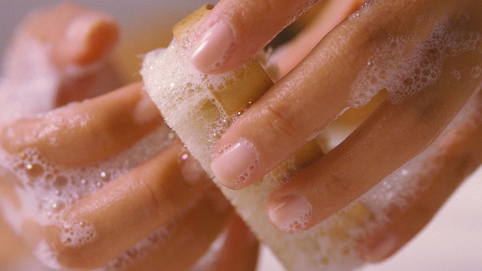 germs on hands under microscope