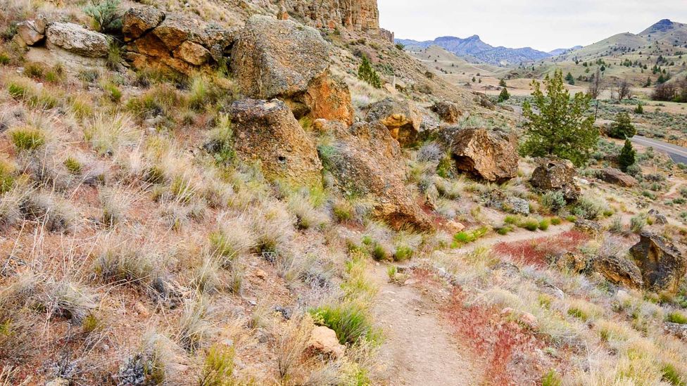 Oregon’ fivemillionacre alien landscape BBC Travel