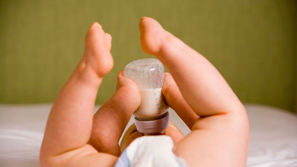 The surprising links between human milk and the wild - BBC Future