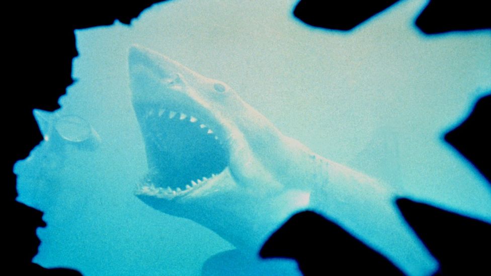 The true story of jaws bbc culture