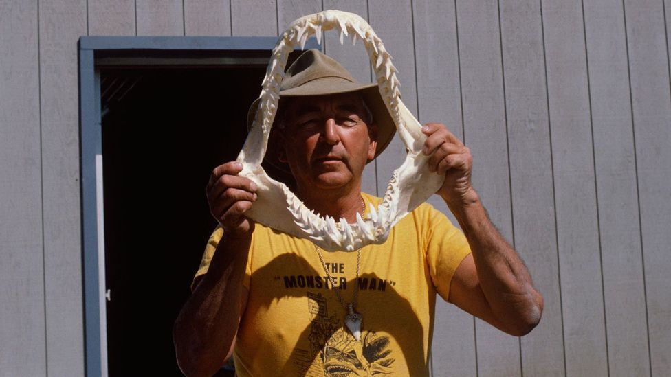 Benchley recorded the exploits of Frank Mundus, the fisherman who landed a record great white (Credit: Getty Images) Benchley recorded the exploits of Frank Mundus, the fisherman who landed a record great white (Credit: Getty Images)