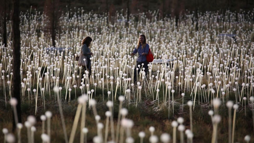 The installation is solar powered and environmentally friendly (Credit: Mark Pickthall) The installation is solar powered and environmentally friendly (Credit: Mark Pickthall)