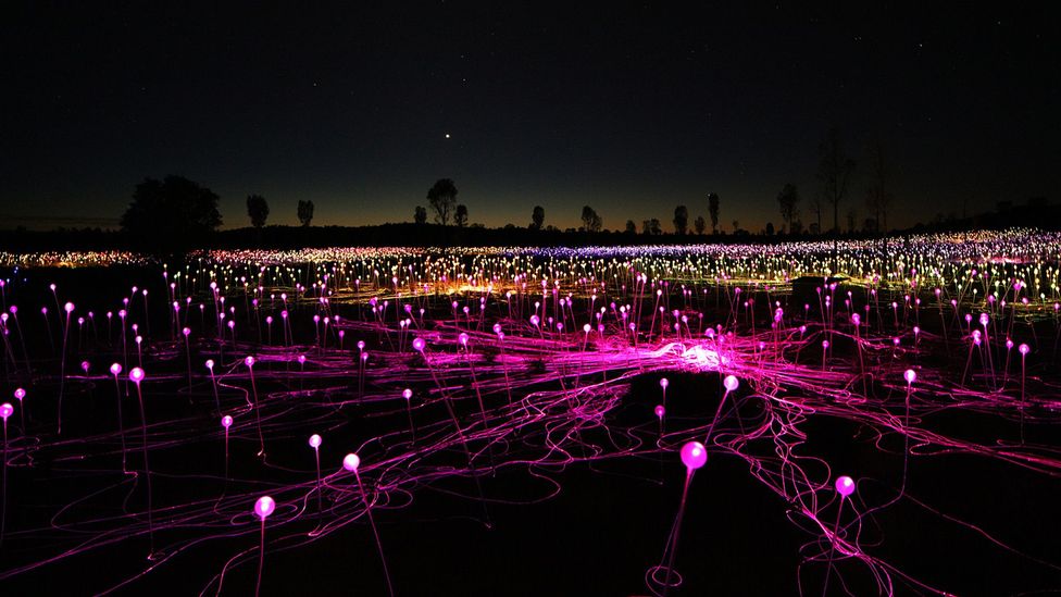 "Field of Light is my thank you to the land" (Credit: Mark Pickthall) "Field of Light is my thank you to the land" (Credit: Mark Pickthall)