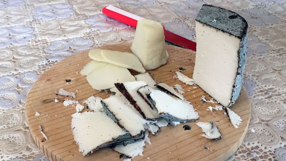 Donkey milk cheese is the most expensive cheese in the world (Credit: Kristin Vuković)