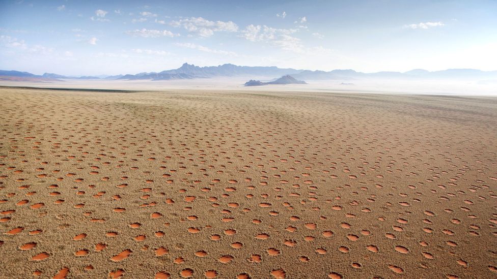 The Fairy Circles are millions of circular honeycomb-like patches across the Namib Desert (Credit: robertharding/Alamy)