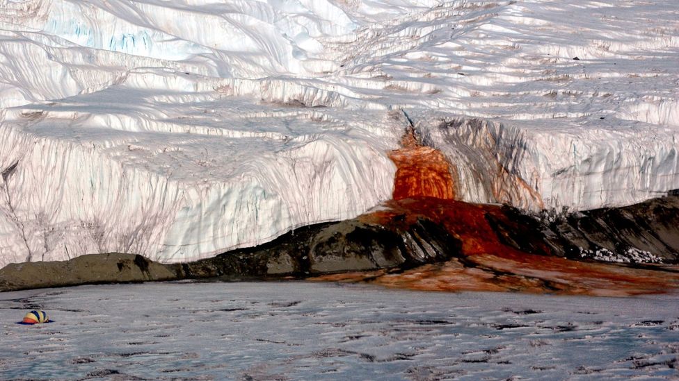 Blood Falls in Antarctica is only accessible by helicopter or cruise ship (Credit: Peter Rejcek/Wikipedia)