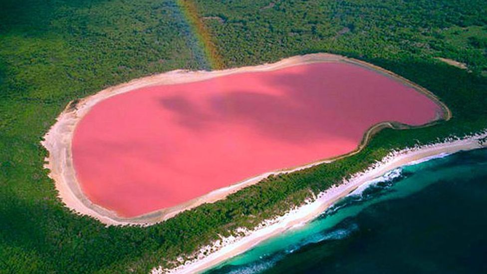 Swimmers would float in the high salinity of Australia's Lake Hillier (Credit: Liqeni Hillier/Wikipedia)