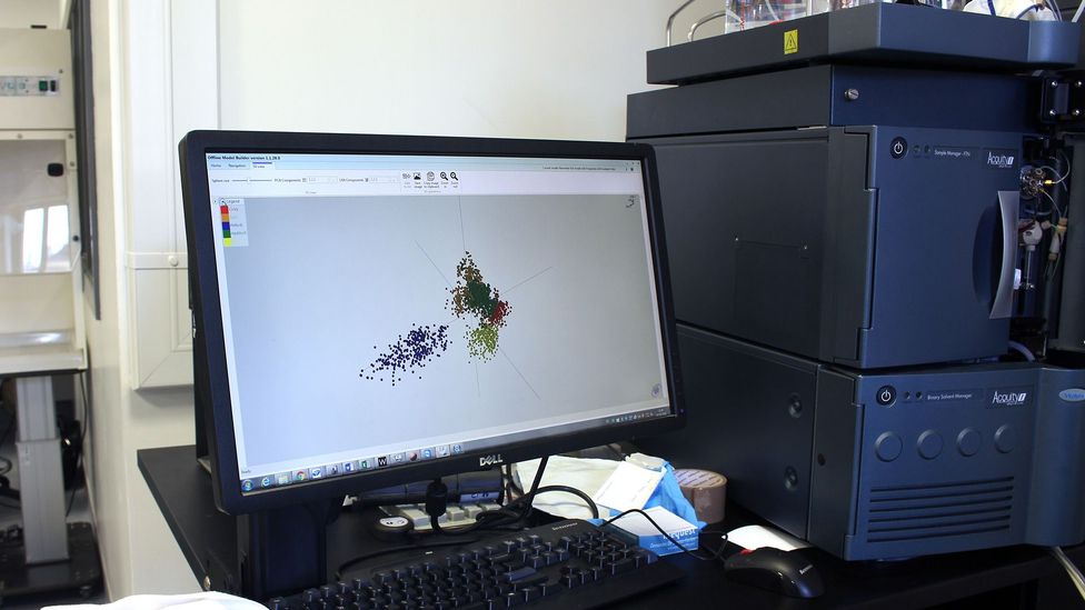 By plotting the results of the smoke analyses, the team was able to differentiate species of fish (Credit: Chris Baraniuk) By plotting the results of the smoke analyses, the team was able to differentiate species of fish (Credit: Chris Baraniuk)