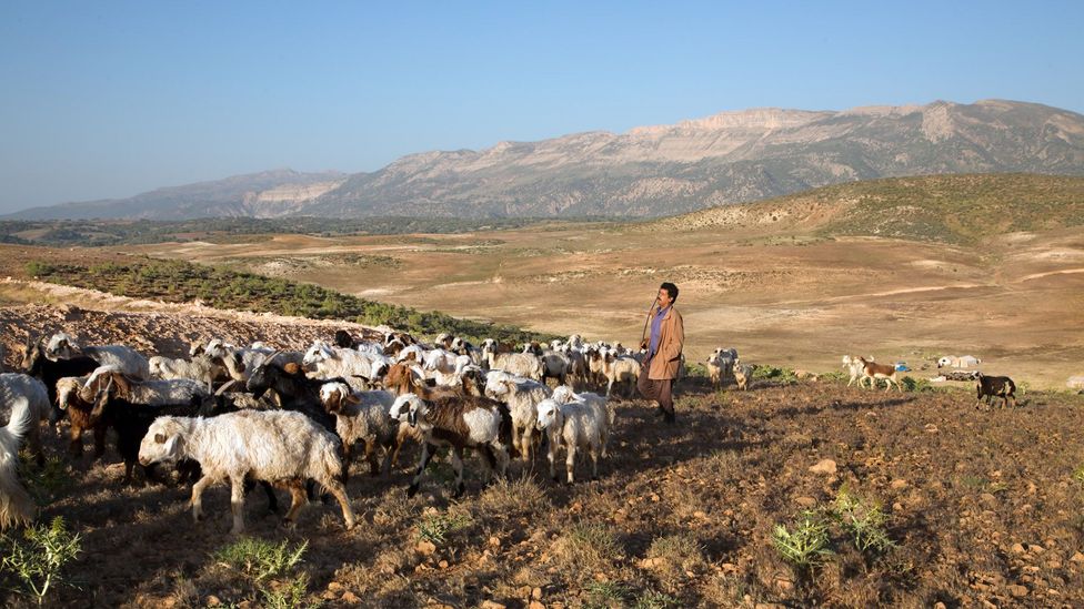 Nomads for generations Nomads for generations