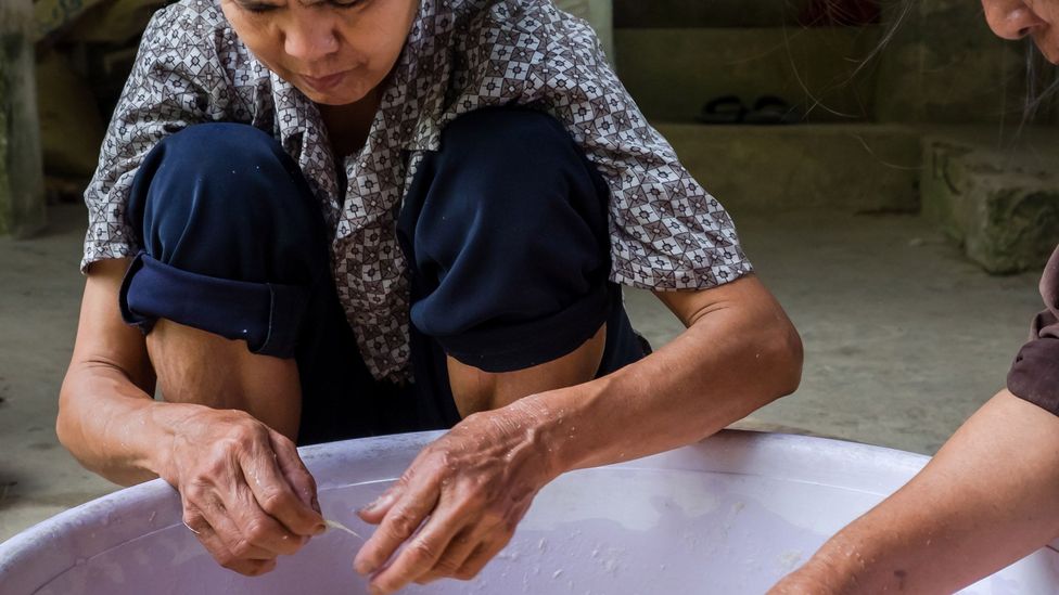 Two Vietnamese women assessing the pulp’s consistency in order to press it into Dó paper (Credit: Kit Yeng Chan) Two Vietnamese women assessing the pulp’s consistency in order to press it into Dó paper (Credit: Kit Yeng Chan)
