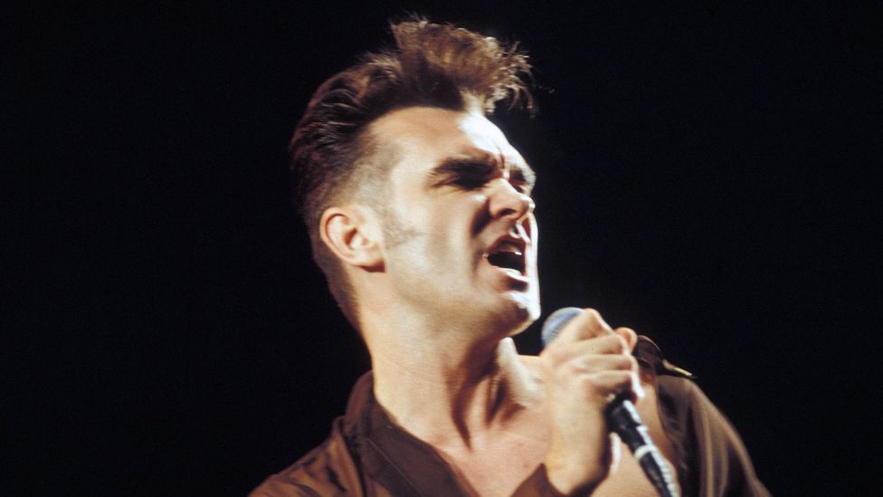 Music and literature may be one way for artists like Morrissey to express the feelings they find hard to articulate in everyday life (Credit: Alamy)