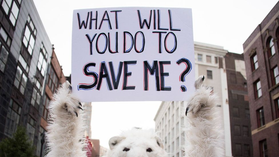 Views on climate change tend to be influenced by political ideologies, regardless of scientific education (Credit: Getty Images) Views on climate change tend to be influenced by political ideologies, regardless of scientific education (Credit: Getty Images)