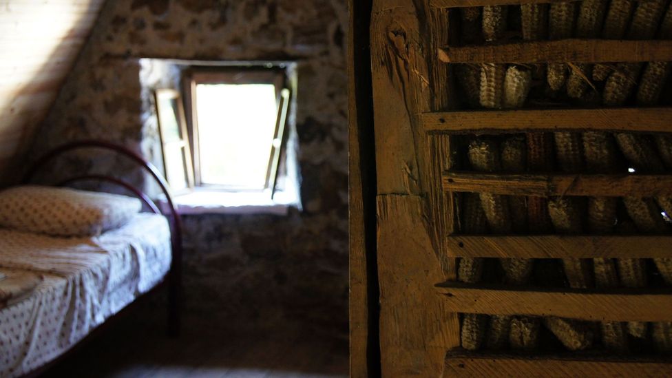 The master of the house should always have a spare bed (Credit: Henry Wismayer/Alamy)