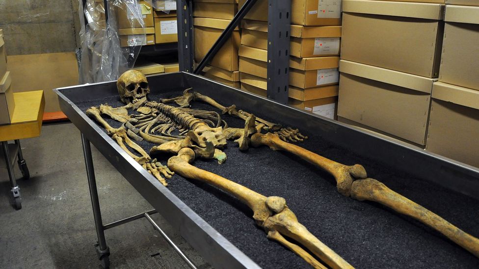 Largest Human Skeleton