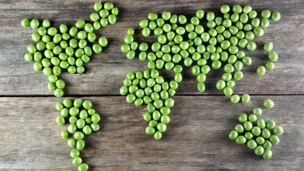What if the world went vegetarian? (Credit: iStock)