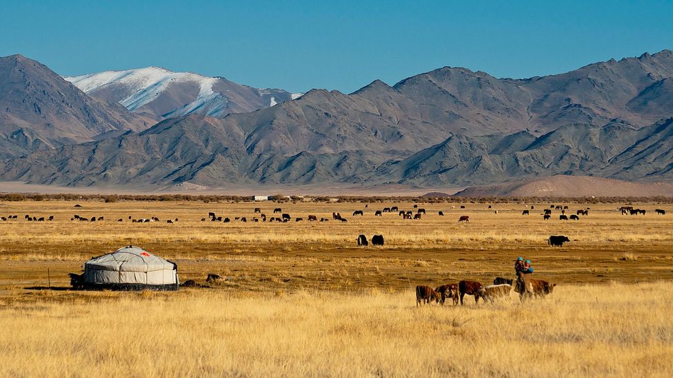 Mongolia's 6,000-year tradition - BBC Travel