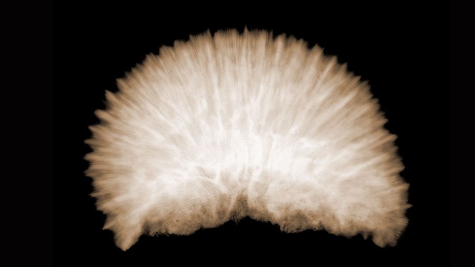 Implanting false memories could be the next big thing for treating conditions from obesity to depression to a fear of the dentist (Credit: Getty Images) Implanting false memories could be the next big thing for treating conditions from obesity to depression to a fear of the dentist (Credit: Getty Images)