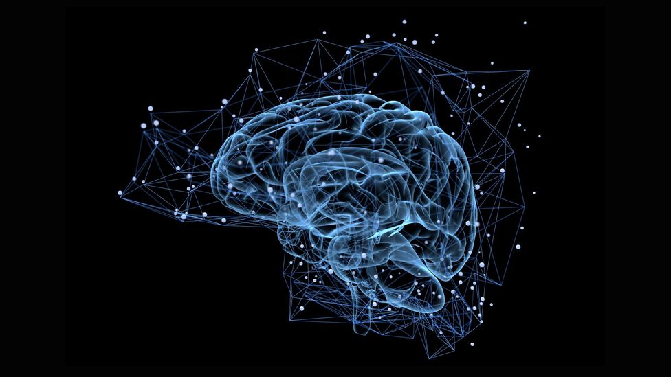 'We’re growing brains outside of the body' BBC Future