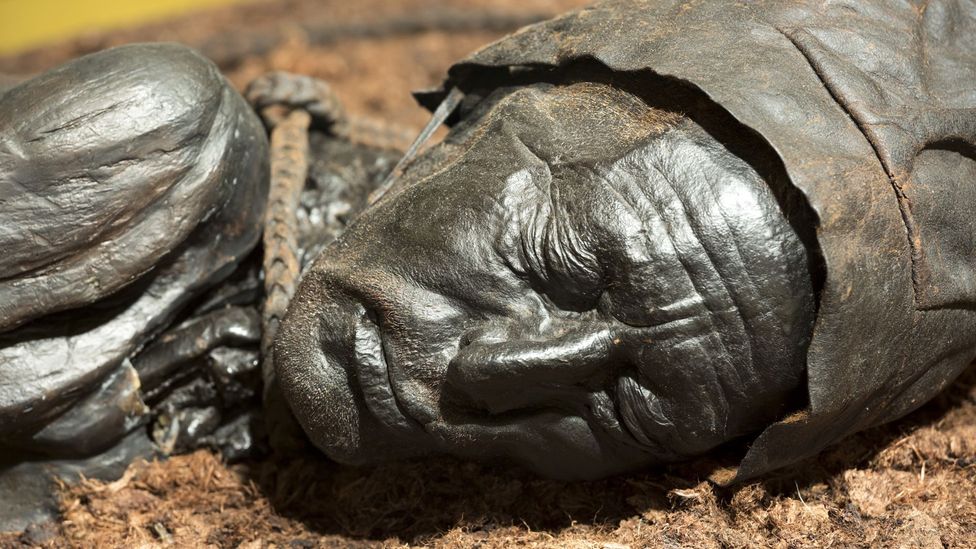 Approximately 2,400 years old, Tollund Man is part of an exhibit in Silkeborg (Credit: Tim Graham / Getty)
