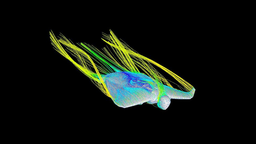 The wind tunnel tests shows how the air flows around the suit (Credit: University of Southampton)