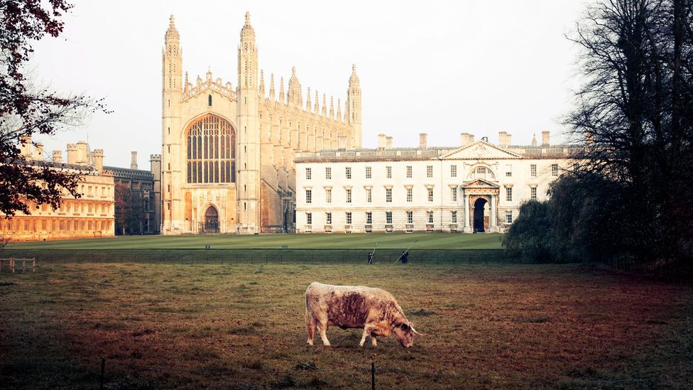 Wrapped in his white sheet, Cornell lurked around around a cow pasture near King's College in Cambridge, hoping to spook out passers-by (Credit: Alamy) Wrapped in his white sheet, Cornell lurked around around a cow pasture near King's College in Cambridge, hoping to spook out passers-by (Credit: Alamy)
