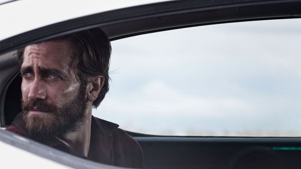 Nocturnal Animals Nocturnal Animals