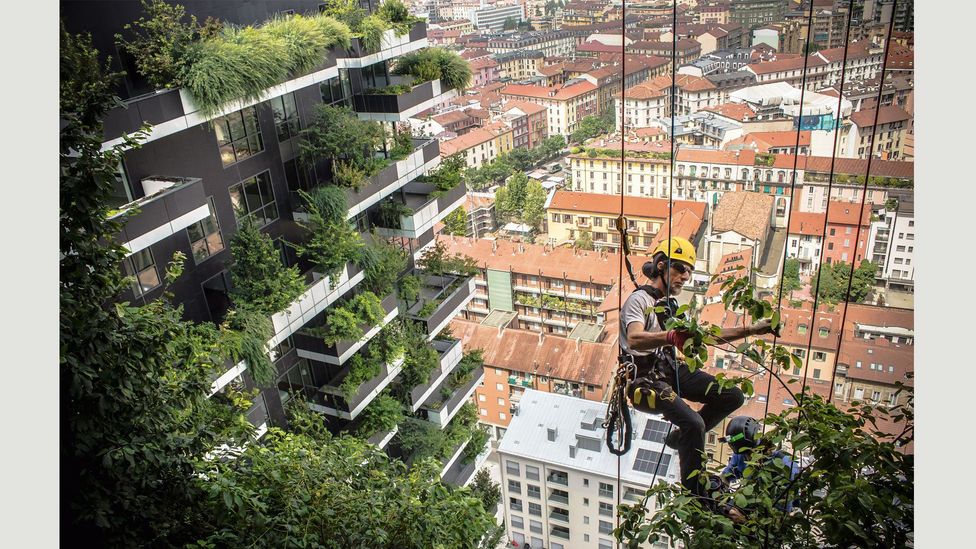 Vertical Forest, Milan, by Stefano Boeri (2008-14) Vertical Forest, Milan, by Stefano Boeri (2008-14)