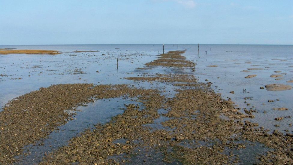 The Broomway is a path, but one that the tide sweeps clean twice a day (Credit: Adrian Miller/Flickr)