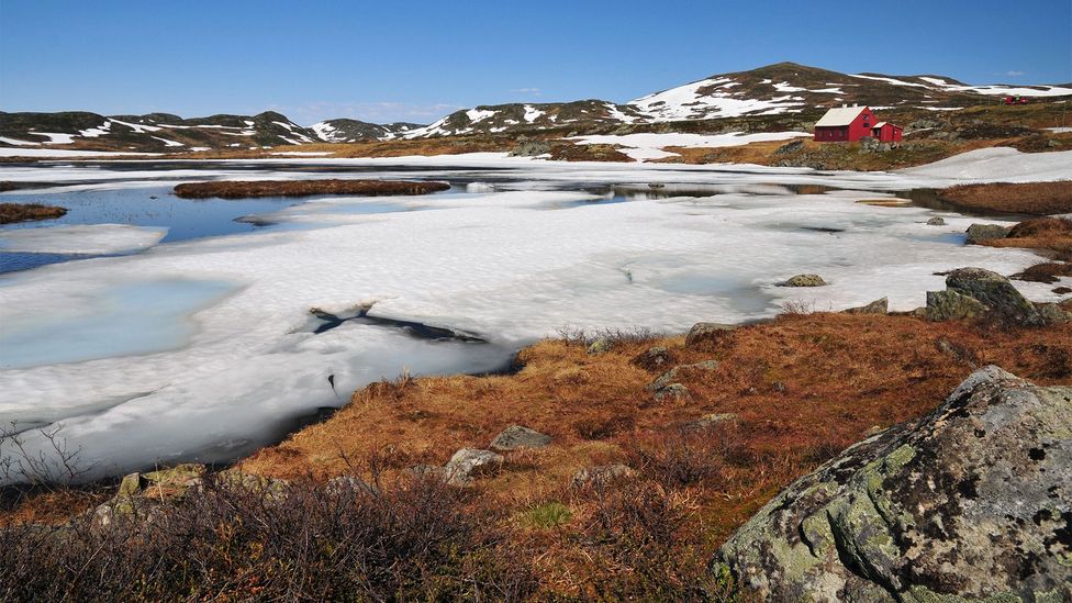 The surprising place where WWII agents learnt to fight Nazis BBC Future