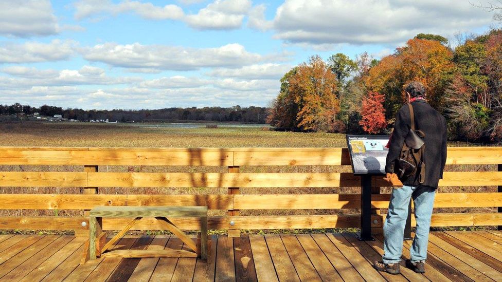 The island is a sight to see in all seasons (Credit: Stafford County Tourism)