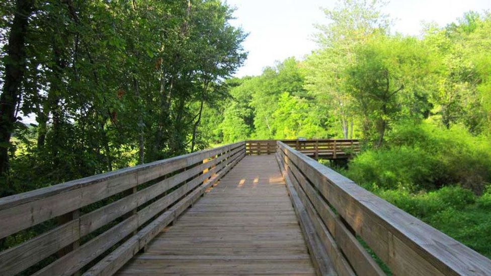 The loop around the island is 1.7 miles long and offers spectacular views of nature (Credit: Martha Steger)