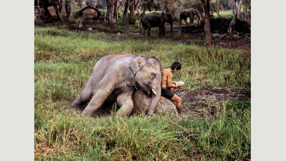 Chiang Mai, Thailand, 2010 (Credit: Steve McCurry/Magnum Photos)