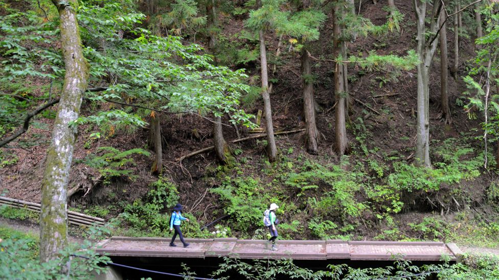The historical trail offers a quieter, serene side to Japan (Credit: Bill Fink) The historical trail offers a quieter, serene side to Japan (Credit: Bill Fink)