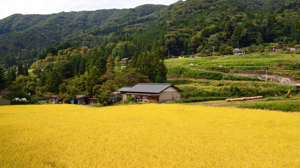 It is easy here to imagine Japan as it looked in centuries past (Credit: Bill Fink) It is easy here to imagine Japan as it looked in centuries past (Credit: Bill Fink)