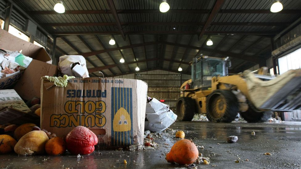 Across Europe, 100m tonnes of food ends up in landfills every year, producing large amounts of greenhouse gases as it decomposes (Credit: Getty Images)