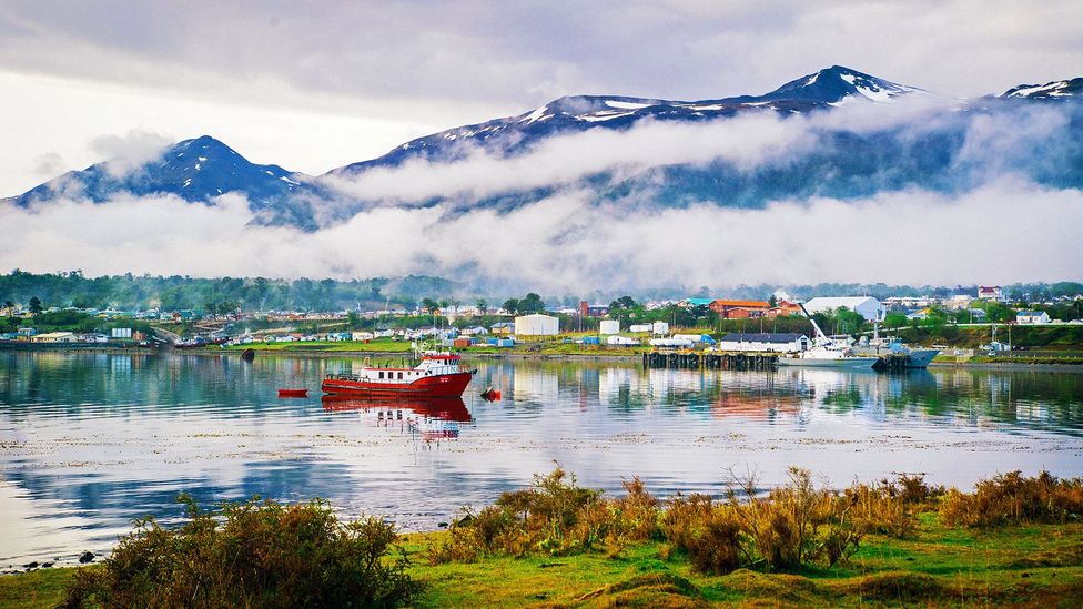 Tierra del Fuego is one of the richest corners of the Earth in terms of bryophytes (Credit: Felipe Gera) Tierra del Fuego is one of the richest corners of the Earth in terms of bryophytes (Credit: Felipe Gera)