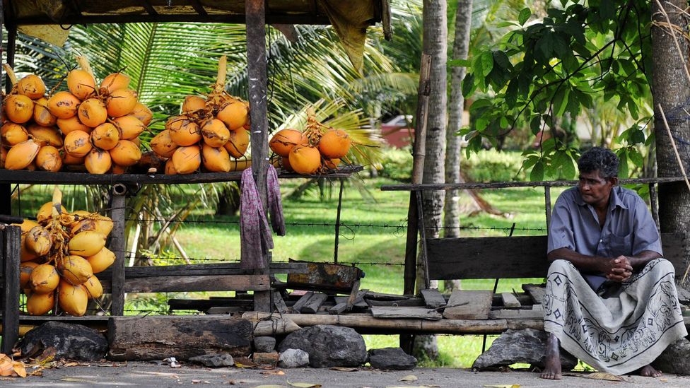 The coconut is the main ingredient for Sri Lankan culture (Credit: Ishara S.Kodikara)