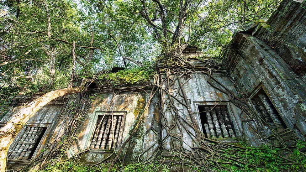 Cambodia S Hidden Jungle Temple c Travel