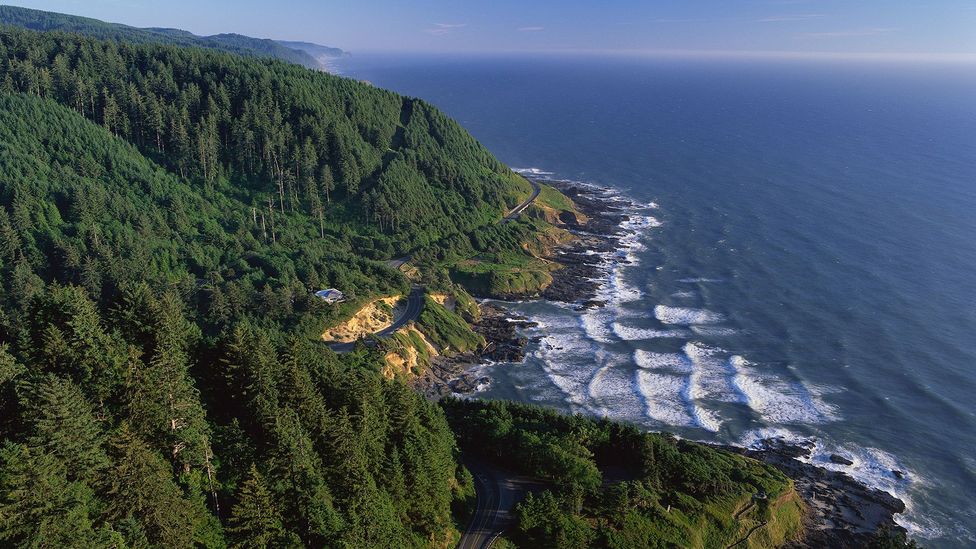 Amanda’s Trail continues to the Cape Perpetua lookout, where De-Cuys’ story ends (Credit: Philip James Corwin/Getty)