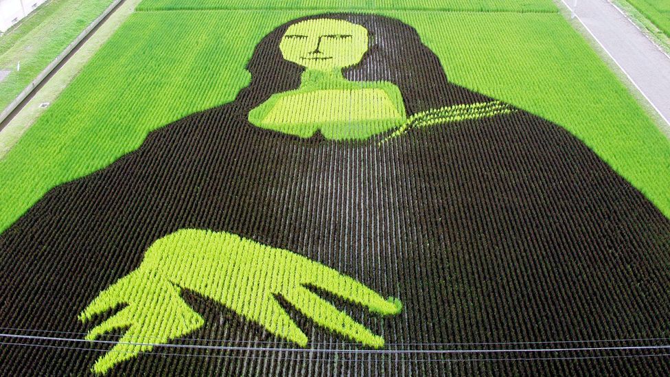 Their ambitious representation of Mona Lisa was met with mixed success (Credit: Inakadate Village) Their ambitious representation of Mona Lisa was met with mixed success (Credit: Inakadate Village)