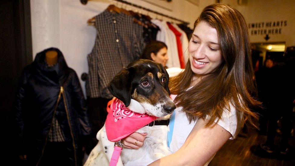 The woman matching pooches and people The woman matching pooches and people